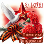 Блиц-турнир по русским шашкам, посвященный 81-й годовщине Победы в Великой Отечественной войне